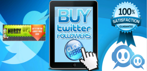 Buy Twitter Follower